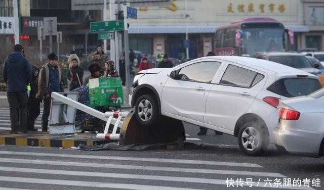 数据|以后不能嘲笑女司机了，据大数据显示，男司机是女司机的8.8倍