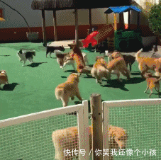 啥意思|“毕业时学校发了个碗,这是啥意思啊...?”哈哈哈哈工作都分好了?