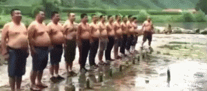 不服|搞笑GIF:我不服别的,就服这个演技