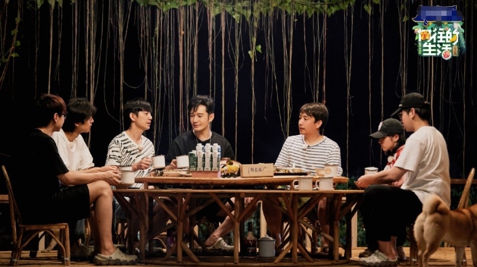 请来|下期《向往》收视稳了,请来观众喜欢的“CP”,说啥都要追了