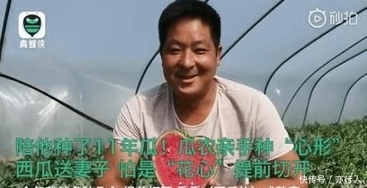 妻子|种个西瓜都是爱你的形状！