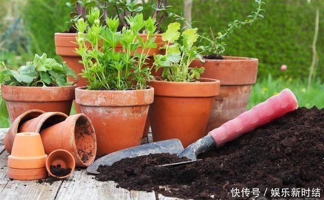 马上|身边人误喝“百草枯”，马上做三件事，或许能救回他的命