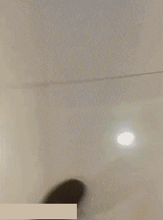 GIF|搞笑GIF：一直在模仿从未被超越，厉害