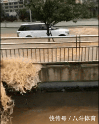 gif|搞笑gif:为了藏5元私房钱,又逼疯了一个