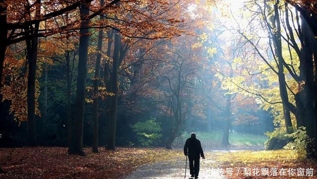 公开信|一位退休老人写给4个儿子的公开信:如果有来生,再也不见