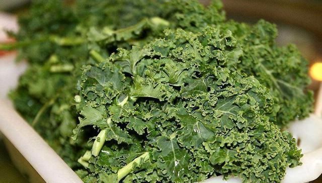 野草|农村一种野草,10年前被炒到上百元一斤,如今1元一斤成笑柄