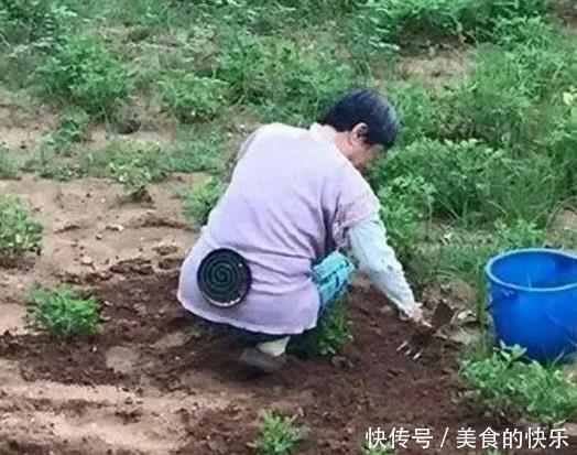 凌晨|“女朋友和男闺蜜出去聚会了,凌晨回来还给我带了烧烤”,心太大了吧,哈哈哈哈哈