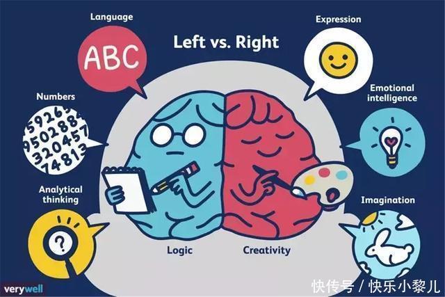 下层大脑|哈佛大学医学博士:0-12岁孩子大脑发育期,父母别忽略这8件事