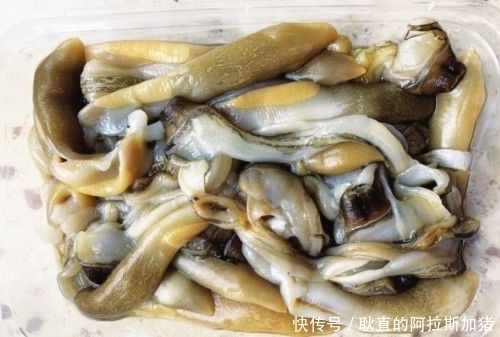 大连海域|吃蛏子能喝啤酒吗?不同产地口感为何不同?