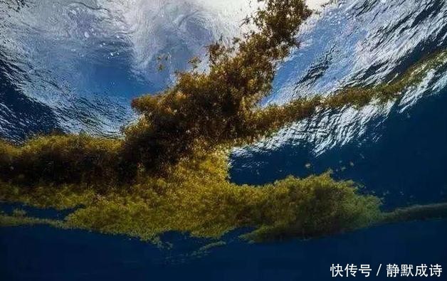  透明度|全球最“离奇”的海域，海水透明度达72米，却被称为海上坟地