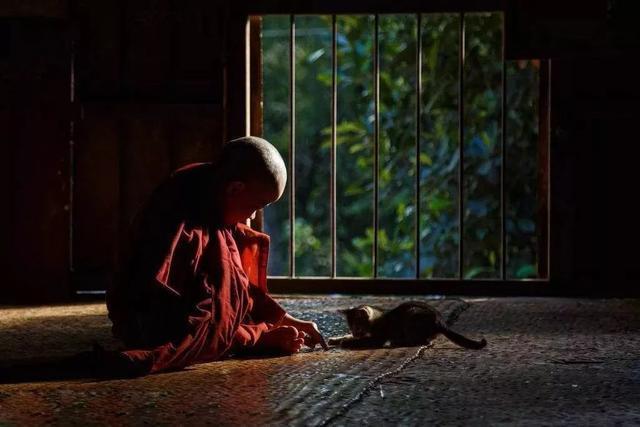 难得|元龟商城经典分享:让 步(难得好文)