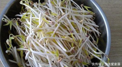 简单|吃了30年的豆芽，原来发豆芽这么简单，几天就能吃，先收藏了