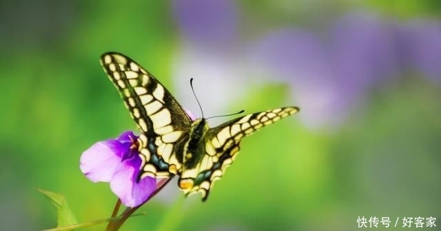 起走|?人生本过客,何须太执着