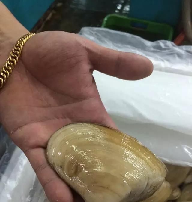 海鲜|世界上65种珍奇海鲜,贝爷都不敢说全部吃过,你吃过几种