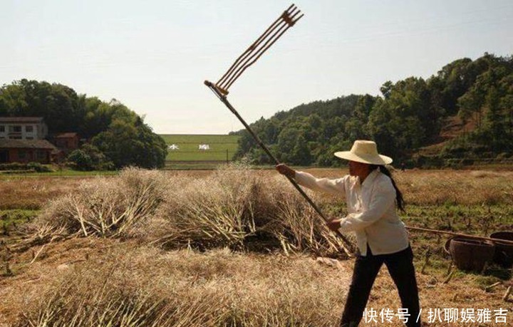 历史|历史趣闻:这个赌徒因一文钱发奋,发明双节棍军体拳打下江山。