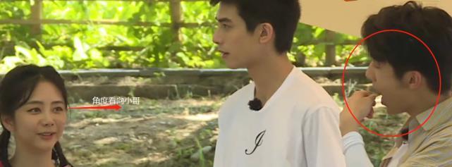  逃不过|谭松韵上节目逃不过“送命题”，选大哥还是小哥，可以观察到她心中有数