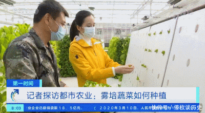 央视|快看,无土栽培上央视了
