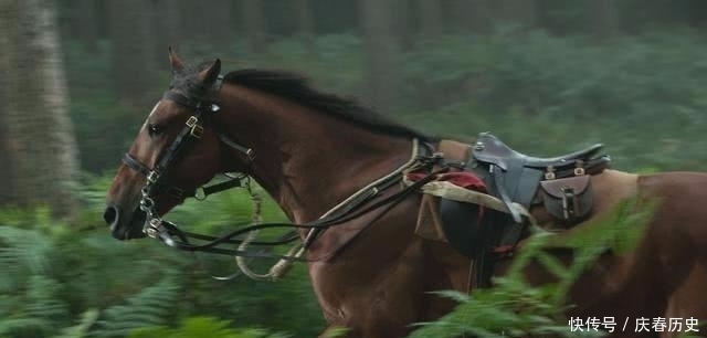 一口气|古代的马一口气能跑多少里? 一口气跑500米就行!