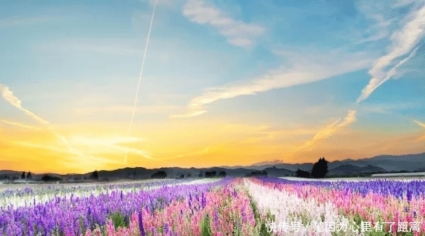 活着|《活着》:只要活着就证明人生还有希望,学会好好珍惜吧