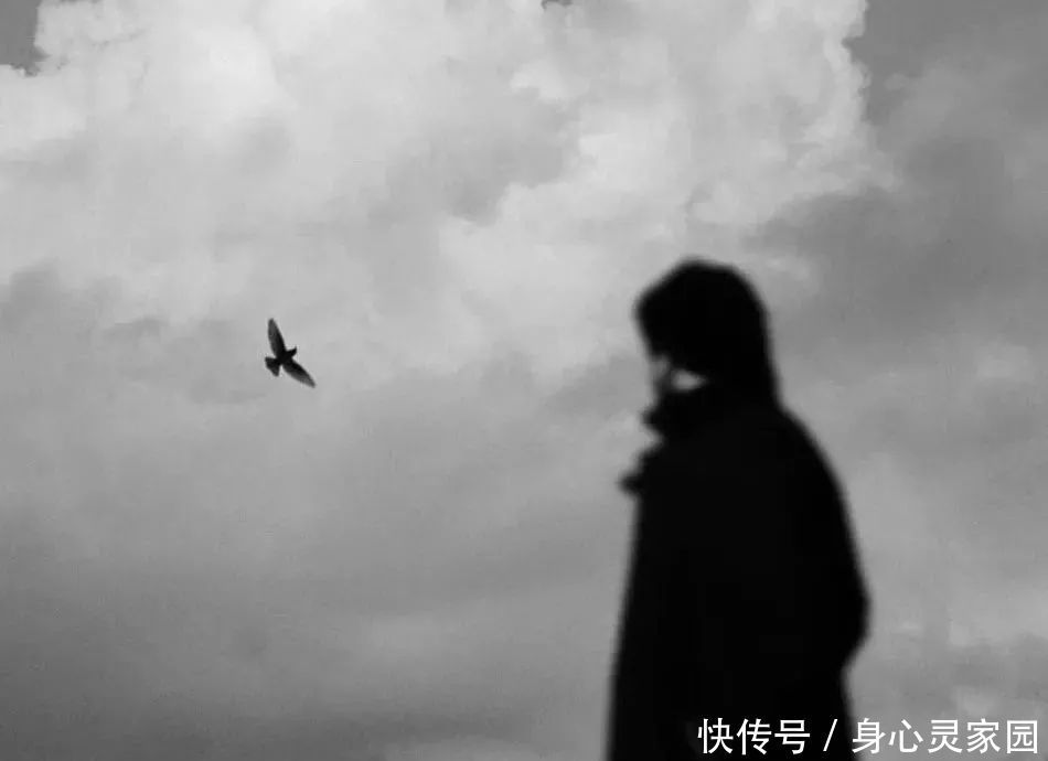 连接|九位开悟心灵导师谈:如何连接真正的美好