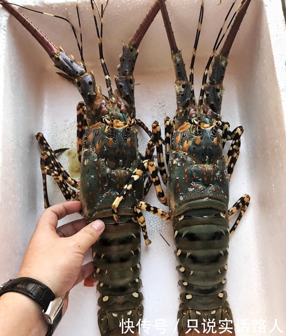  复苏|【复苏】盘点那些年吃过的记忆