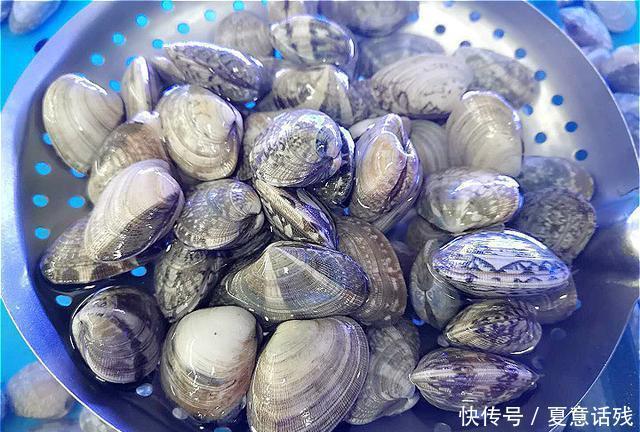 清洗|花蛤好吃难清洗？清洗时不能只加盐，多加这3样，花蛤疯狂吐沙