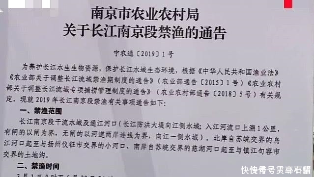 电死|电鱼电不死男子长江电死百斤大鱼，还发朋友圈炫耀，最后被抓