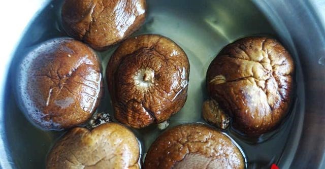  白萝卜|想吃松软的大包子，面团软硬要适中，多做这一步，新手也能成功