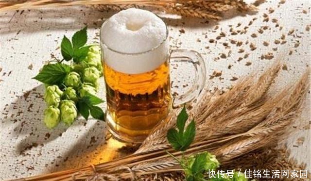 必备|国内大面积种植,一斤70元,一到夏天就成餐桌必备,你也吃过