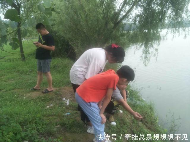 河南省|河南省民权县任庄国家湿地公园快来看,这里的千亩荷花开了