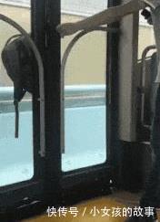  搞脏|谁家的媳妇把我手机屏幕都搞脏了，哈哈