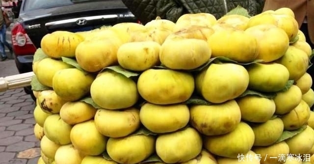 原产|原产地中海,人们称为“树上的糖包子”,摘下就烂,外地人没吃过