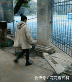 裤子|妹子,你这裤子哪里买的,是不是被老板给蒙了,少条裤腿你也要