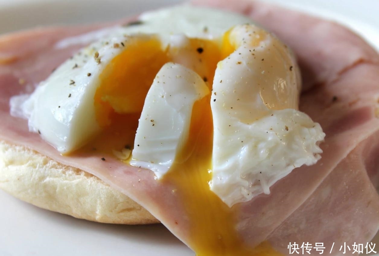 开放|瑞典开放”最恶心“食品博物馆,意大利的口味太重,第六种有人给伸冤