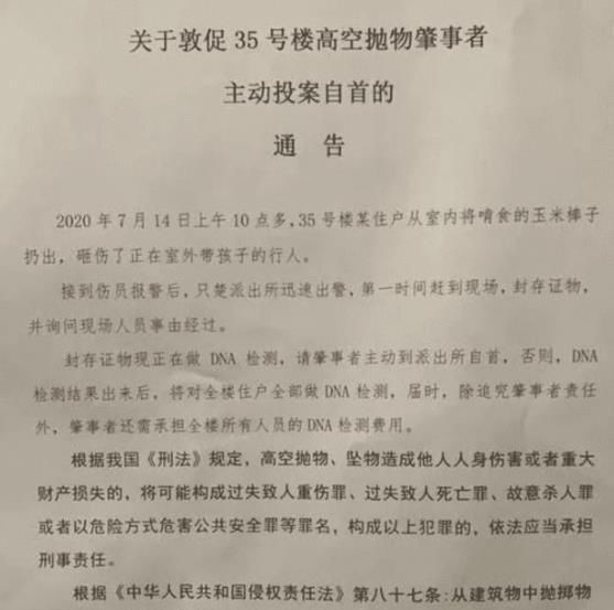 高空|“高空抛玉米棒”之人，听到全楼住户做DNA要花100万，终于露脸了