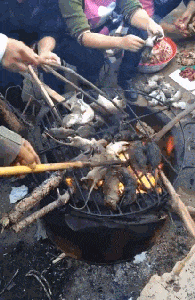 搞笑|搞笑GIF:我就问问,你们谁敢吃