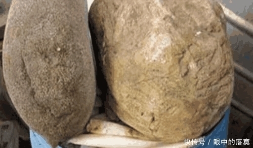 大妈|腌咸菜用石头封口,石头掉地摔掉一块,大妈拿起石头直呼发财