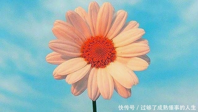  心语|朋友圈阳光励志心语，每一句都是满满的正能量