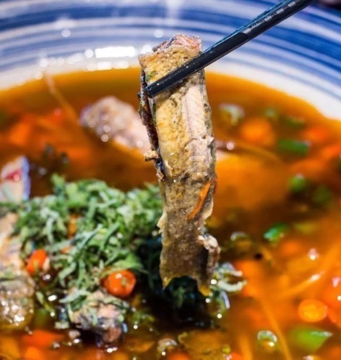 比肉|最好吃的鱼,营养是甲鱼8倍,16块钱一斤,比肉便宜无人买