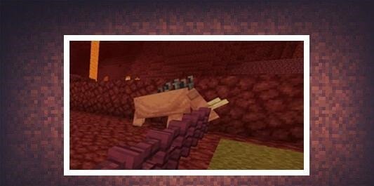 世界|我的世界MC登录界面再现“机翻”错误玩家想起“雷石东”！