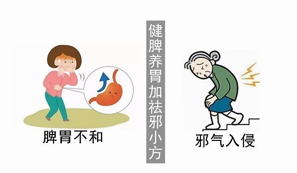 早餐|大白话说中医第七十五期|五脏之母是脾胃,七味早餐来防卫