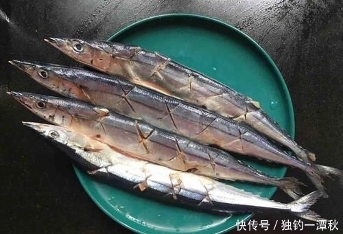 日本|这鱼被日本人称“脑黄金”,蛋白质含量鱼中第一,国内降价无人买