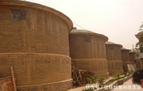  隋朝|隋朝留下的粮食 又被唐朝吃了五十年？是真是假？