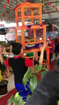  GIF|搞笑GIF：天下武功唯快不破！