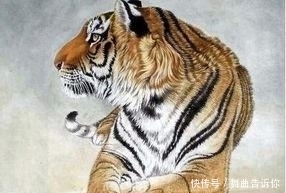  苦尽甘来|属虎人：家财万贯，苦尽甘来，财富不断找上门！