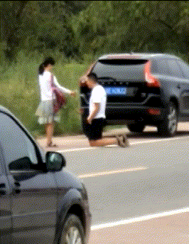 老板|搞笑GIF:老板,咱们这里有一个员工正在使用外挂,要不要把他辞退了