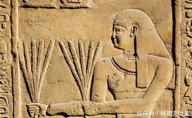 执着|啃最硬的面包打最硬的仗,欧洲人对硬面包的执着从何而来?