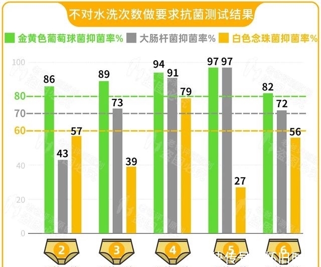  网红|耗时3个月，真人试穿网红内裤，却得到了意想不到的结果