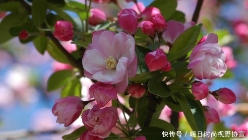  续命|文人发起飙有多厉害？手无缚鸡之力的他为明朝续命两百年