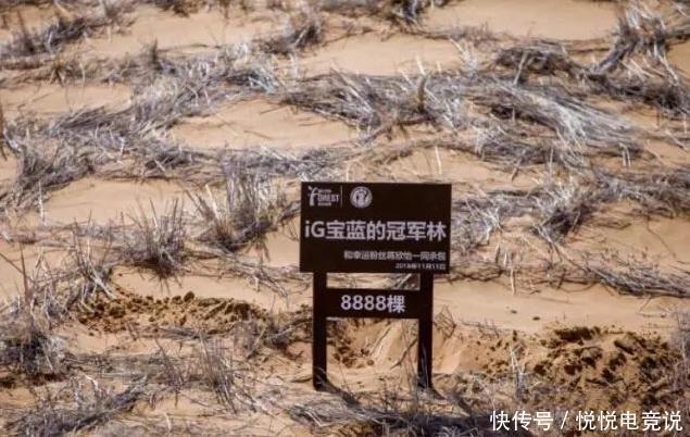  玩家|宝蓝生日妈妈粉斥巨资做公益，玩家表示感动：比肖战粉丝强多了